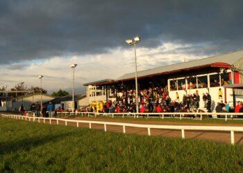 €1million investment in Kilkenny Dog Track confirmed