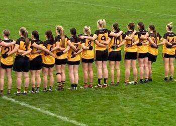 “The people who mightn’t be here are looking down, we’re thinking of those today” Bennekerry/Tinryland Make History with First Provincial Title