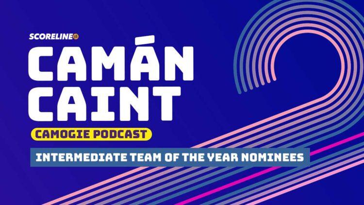 Camán Caint: 2024 Intermediate Team of the Year nominees