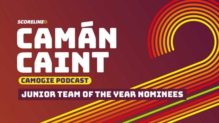 Camán Caint: 2024 Junior Team of the Year nominees