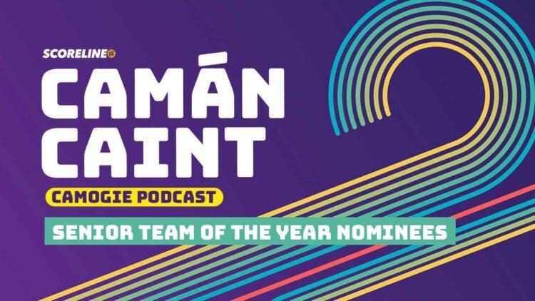 Camán Caint: 2024 Senior Team of the Year nominees