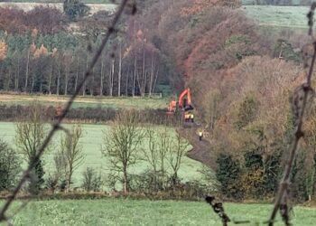Search of lands in Wicklow continues as part of investigation into disappearance and murder of Josephine ‘Jo Jo’ Dullard from Kilkenny