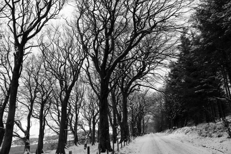 Care needed with roads treacherous in parts of Carlow and Kilkenny