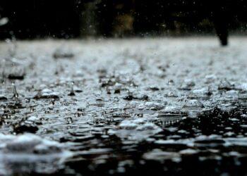 Storm Bert brings disruption to Carlow and Kilkenny with power outages