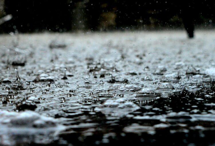 Storm Bert brings disruption to Carlow and Kilkenny with power outages