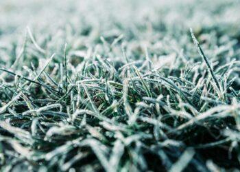 Snow unlikely in Carlow or Kilkenny as cold snap arrives next week