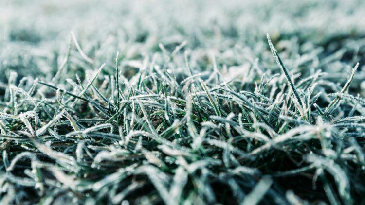 Snow unlikely in Carlow or Kilkenny as cold snap arrives next week