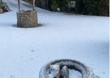 Snow, sleet and sub-zero temperatures in Carlow and Kilkenny as wintry weather hits
