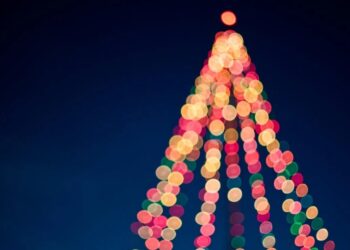 Rotary Remembrance Trees in Carlow and Kilkenny awaiting your contributions