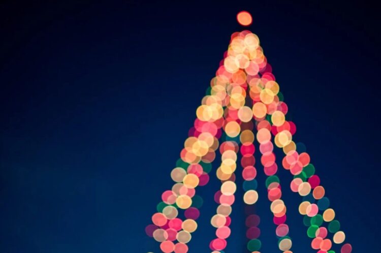 Rotary Remembrance Trees in Carlow and Kilkenny awaiting your contributions