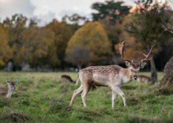 Radical plan needed to deal with safety concerns on a stretch of a north Kilkenny road according to County Council Chair