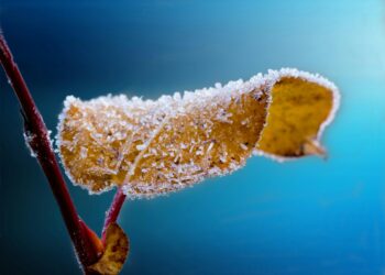 Yellow low temperature alert remains in Kilkenny