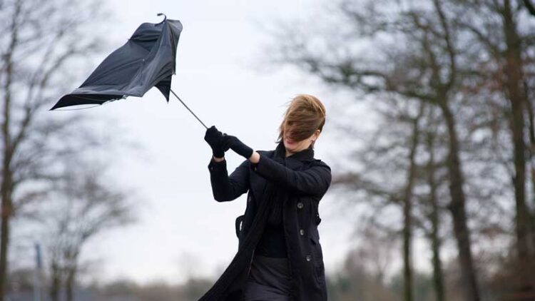 Impact of Storm Darragh felt across Carlow and Kilkenny as 14,000 without power