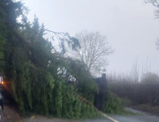 Storm Éowyn updates for Carlow and Kilkenny