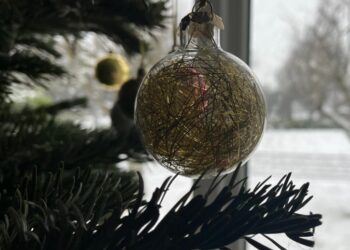 Christmas tree recycling available in Carlow and Kilkenny