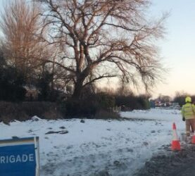 Emergency services at crash scene in County Kilkenny