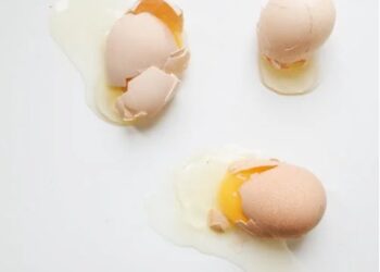 Throwing eggs may seem like cracking fun but Kilkenny Gardaí warn it’s a criminal offence