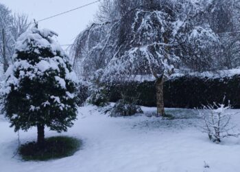 Live: Kilkenny and Carlow school closures and other cancellations for Tuesday (7th Jan)