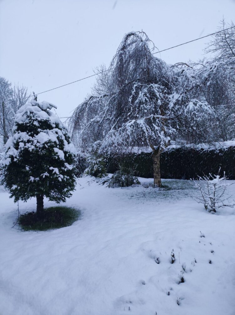 Live: Kilkenny and Carlow school closures and other cancellations for Tuesday (7th Jan)