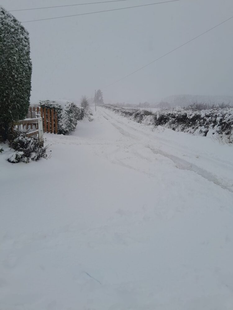 KCLR listeners share snow snaps from across Carlow and Kilkenny