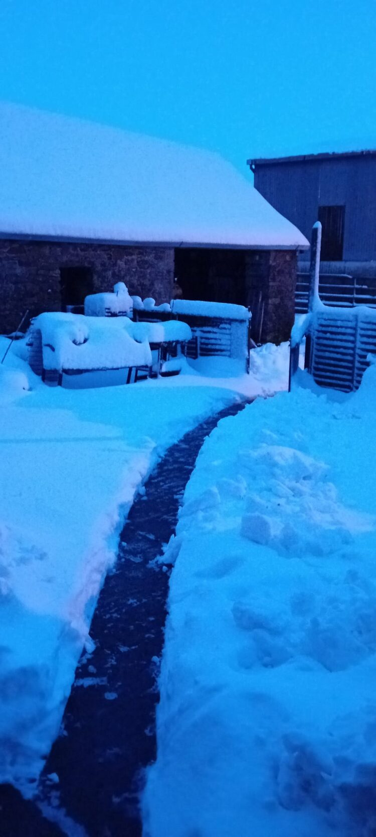 KCLR listeners share snow snaps from across Carlow and Kilkenny