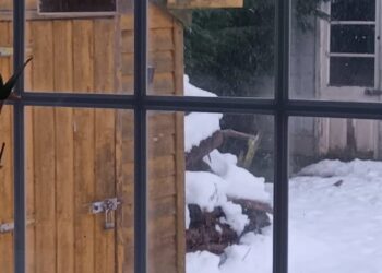 KCLR listeners share snow snaps from across Carlow and Kilkenny