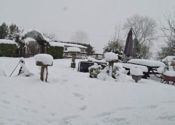 KCLR listeners share snow snaps from across Carlow and Kilkenny
