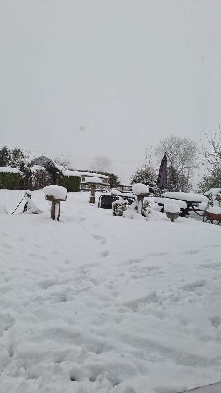 KCLR listeners share snow snaps from across Carlow and Kilkenny