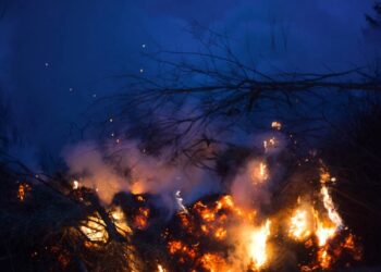 A number of Carlow and Kilkenny natives living in Los Angeles so far safe from wildfires