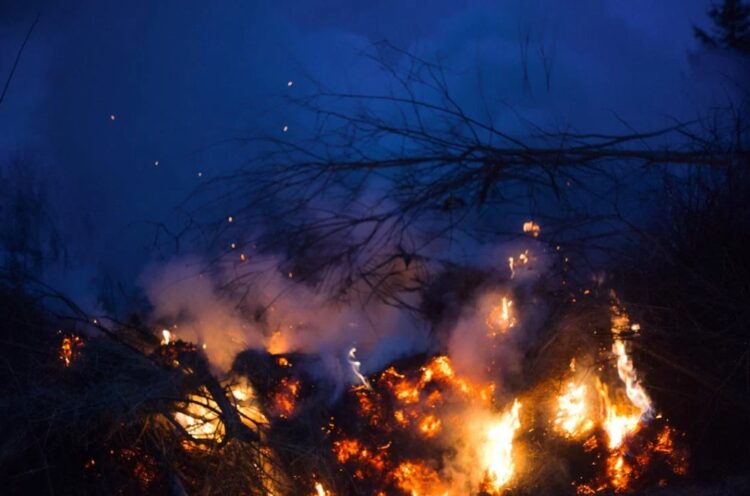 A number of Carlow and Kilkenny natives living in Los Angeles so far safe from wildfires