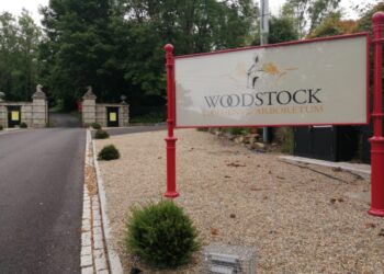 Kilkenny Councillor Michael Doyle hails ‘Great news’ for Inistioge as development gets planning permission