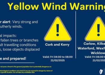 Wind warnings in place for southern and eastern counties including Carlow and Kilkenny