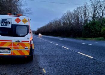One man arrested and twelve motorists caught speeding in Carlow and Kilkenny in first few hours of National Slow Down Day