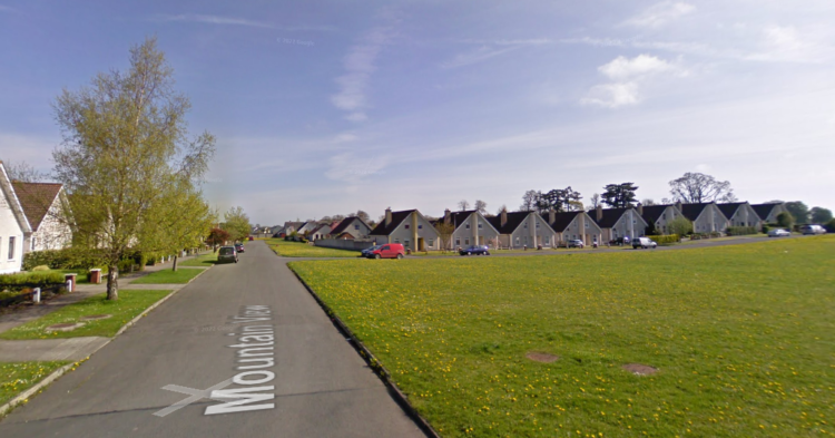 Gardaí appeal for information after vehicle damaged in Carlow