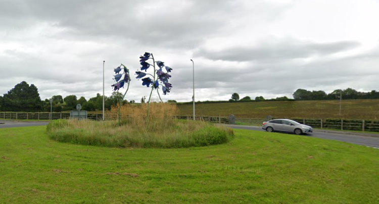 Plans for new landscaping on roundabouts in South Kilkenny