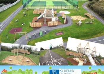 Joy for County Kilkenny community as new playground declared open