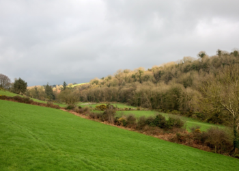 Applications sought in Carlow and Kilkenny for the Heritage Council’s Adopt a Monument Scheme