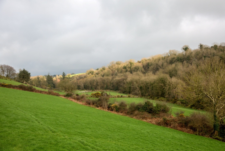 Applications sought in Carlow and Kilkenny for the Heritage Council’s Adopt a Monument Scheme