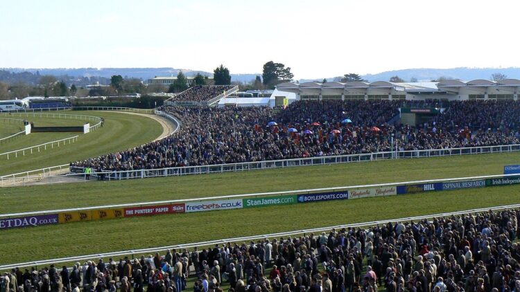 Golden Ace Claims Champion Hurdle in Dramatic Cheltenham Opener