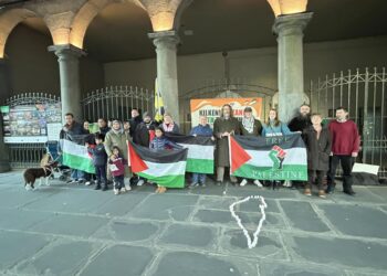 Irish singing star lends support to Kilkenny Palestine weekly vigil