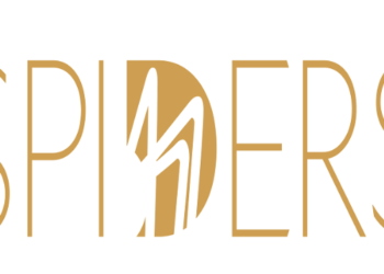 Carlow Group The Big Idea Nominated for Digital for Good Award at the Spider Awards