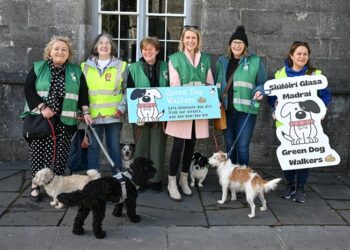 Kilkenny County Council Launches “Green Dog Walker” Programme to Tackle Dog Fouling