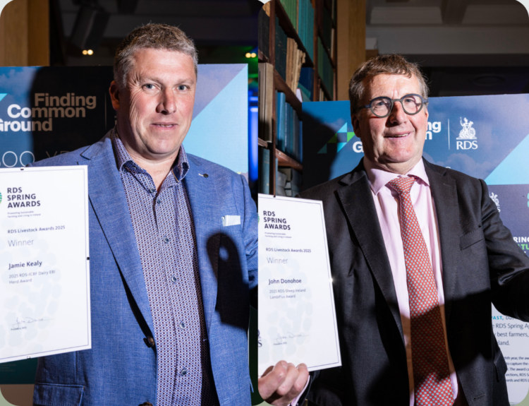 Local Farmers Win Big at RDS Livestock Awards