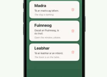 Carlow Teen Inspires Thousands to Embrace the Irish Language with New App