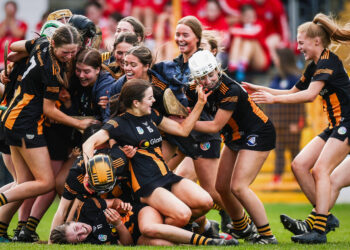 Maher lauds Cats character on the way to All-Ireland glory