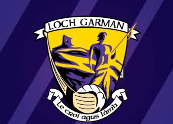 “I love representing Wexford”- Lee Chin ahead of Leinster Championship Campaign