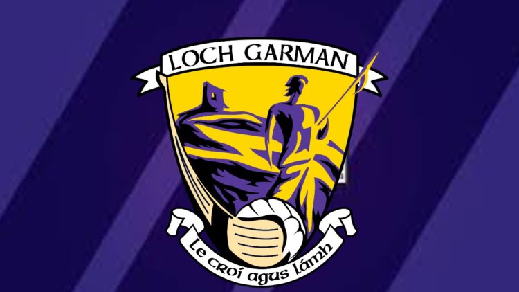 “I love representing Wexford”- Lee Chin ahead of Leinster Championship Campaign