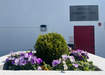 North Kilkenny Community Cafe and Shop has a welcome as warm as the current weather