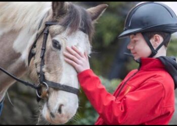 Call for Volunteers with Equine Experience in Carlow and Kilkenny