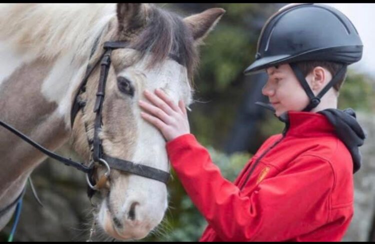 Call for Volunteers with Equine Experience in Carlow and Kilkenny